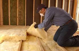 Best Basement Insulation  in Waimea, HI